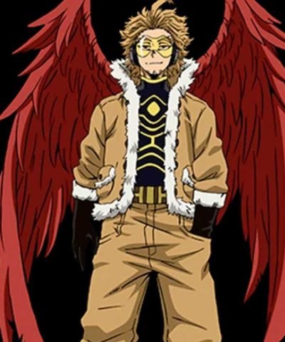 My Hero Academia TV Series Hawks Brown Cotton Jacket